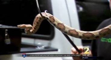 ICYMI: Dad Helps Daughter Dance, Hot Car Death, Monster Fish, Grandma Saved, Snakes Alive
